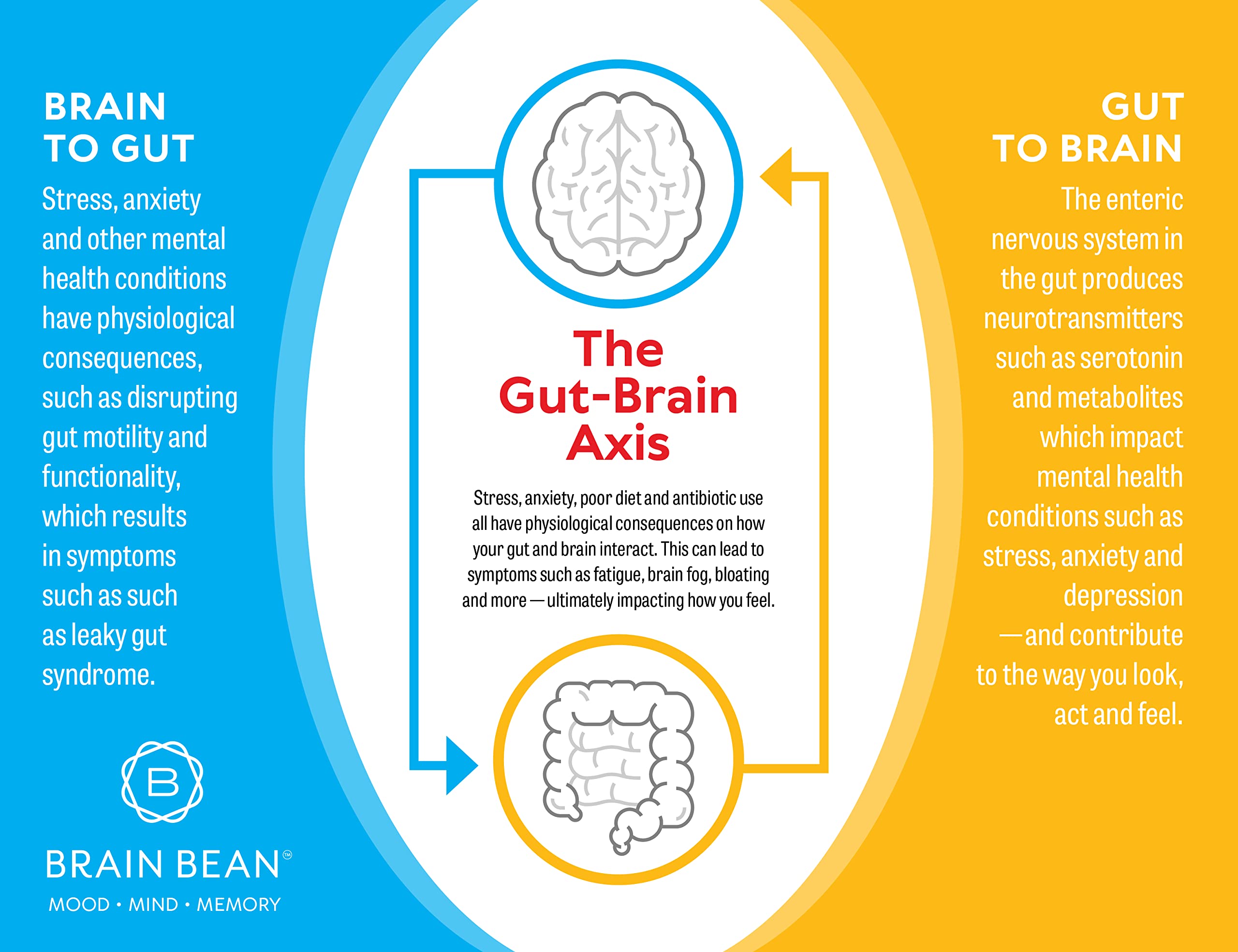 Brain Basics Ultra Pure IgG Supplement - Dairy-Free Supplement IgG-Immunolin Powder, Blended Vitamin & Mineral Supplements, 150g, 60 Servings Brain Bean Au supplements