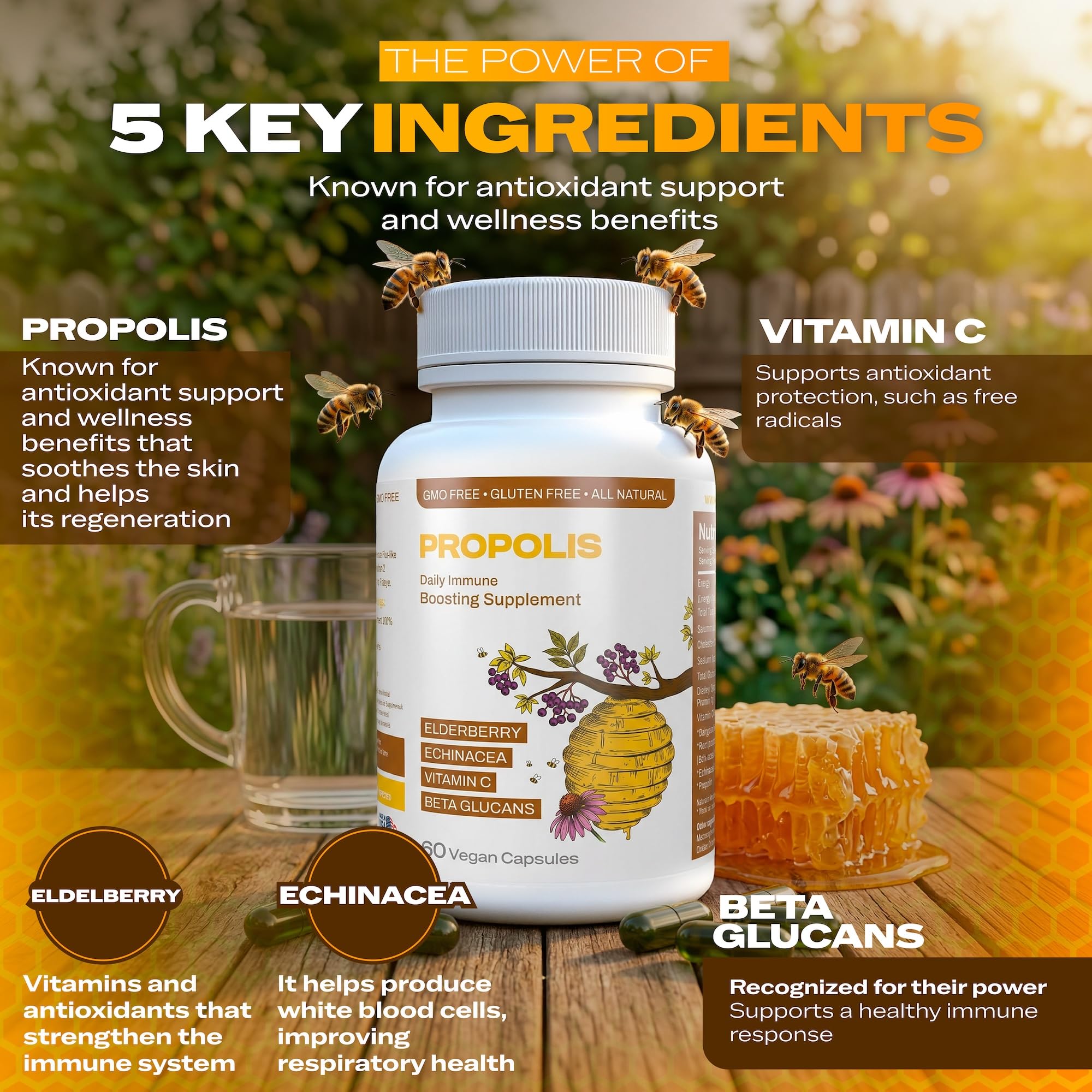 Only Nutri Labs Bee Propolis Dietary Supplement, with Elderberry, Echinacea, Vitamin C and Beta Glucans - Daily Wellness Capsules for Adults (60 Count) Only Nutri Labs Au supplements