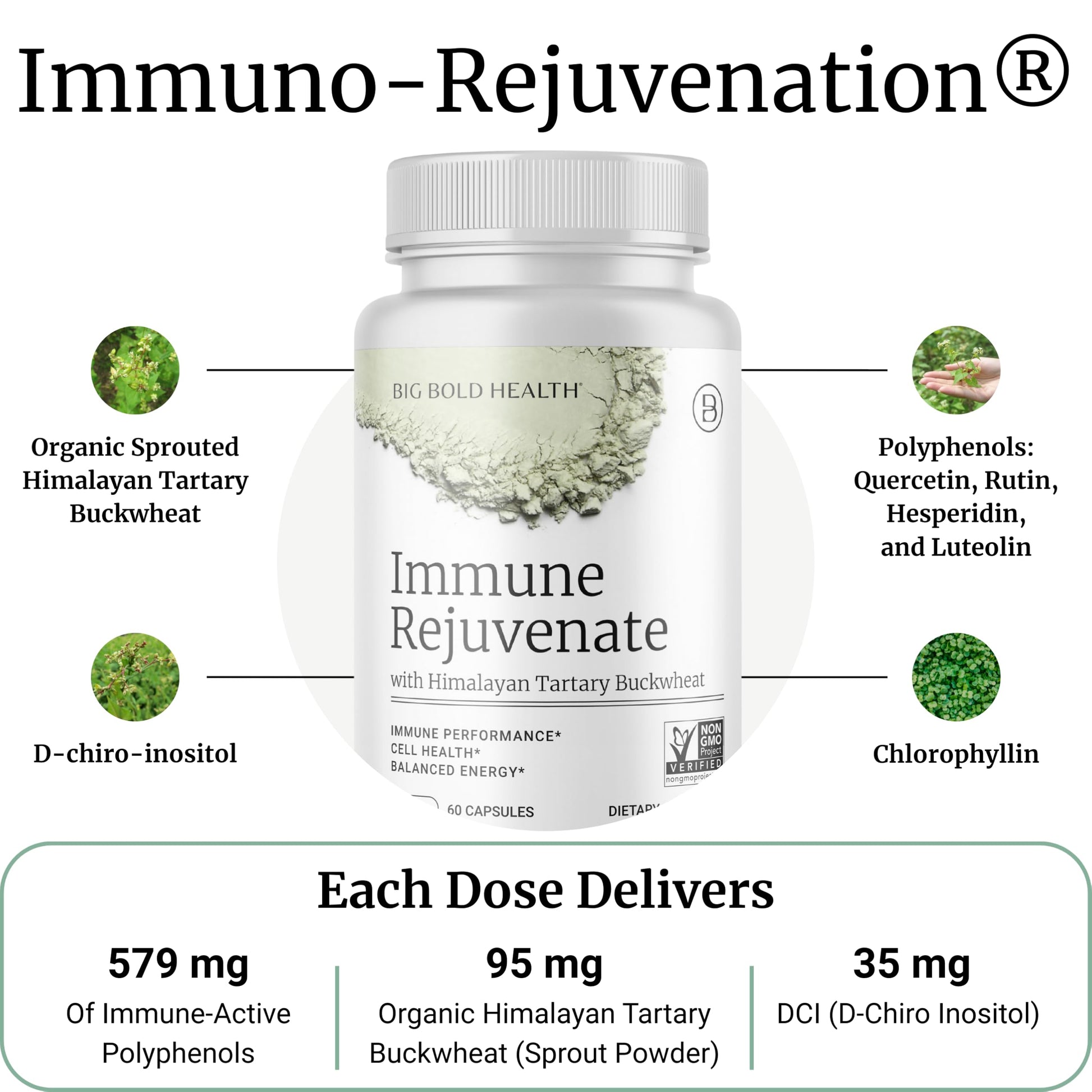 BIG BOLD HEALTH HTB Immune Rejuvenate - Polyphenols Supplement for Immune Support with Himalayan Tartary Buckwheat - Gluten Free, Dairy Free, Non-GMO Formula - 60 Vegetarian Capsules BIG BOLD HEALTH Au supplements