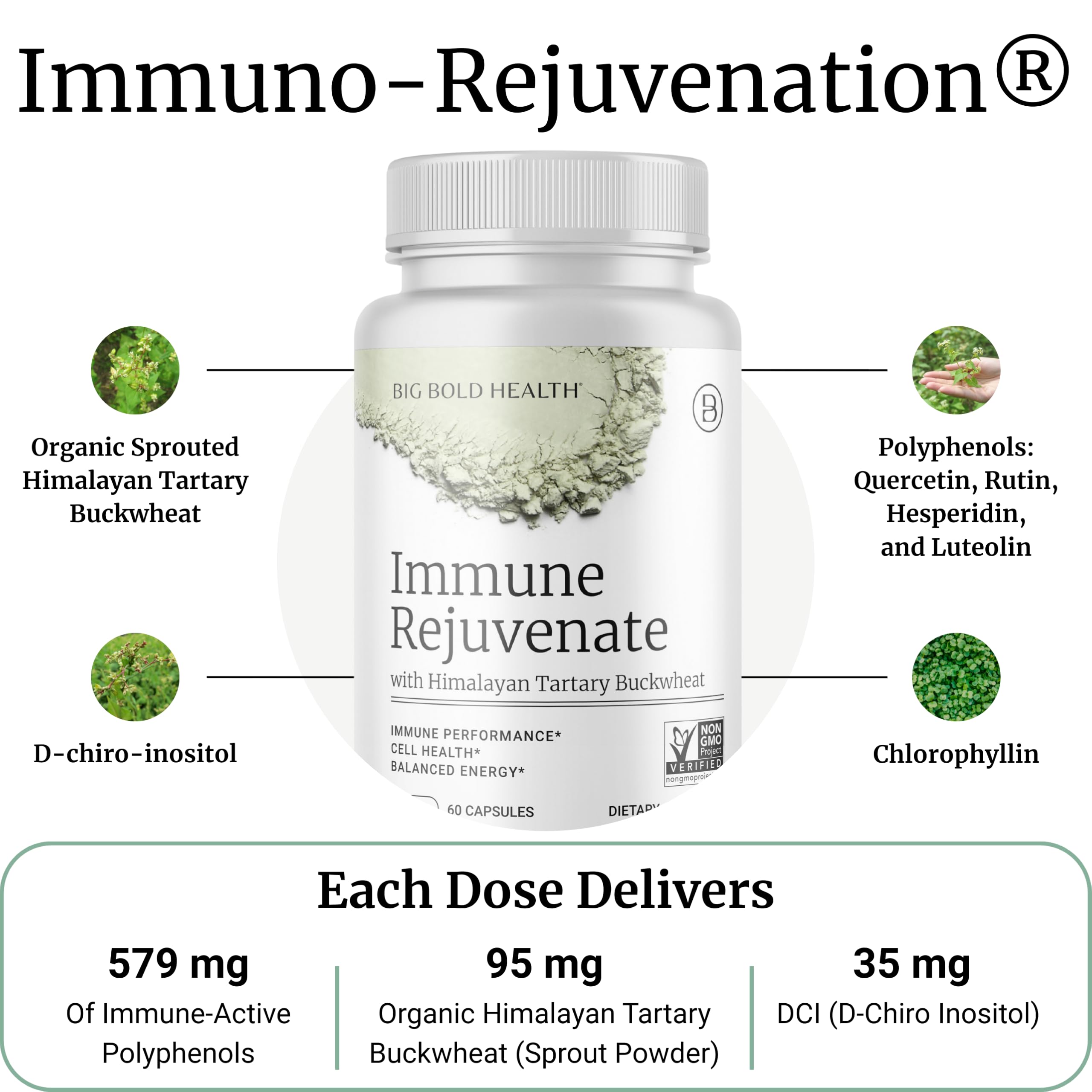 BIG BOLD HEALTH HTB Immune Rejuvenate - Polyphenols Supplement for Immune Support with Himalayan Tartary Buckwheat - Gluten Free, Dairy Free, Non-GMO Formula - 60 Vegetarian Capsules BIG BOLD HEALTH Au supplements