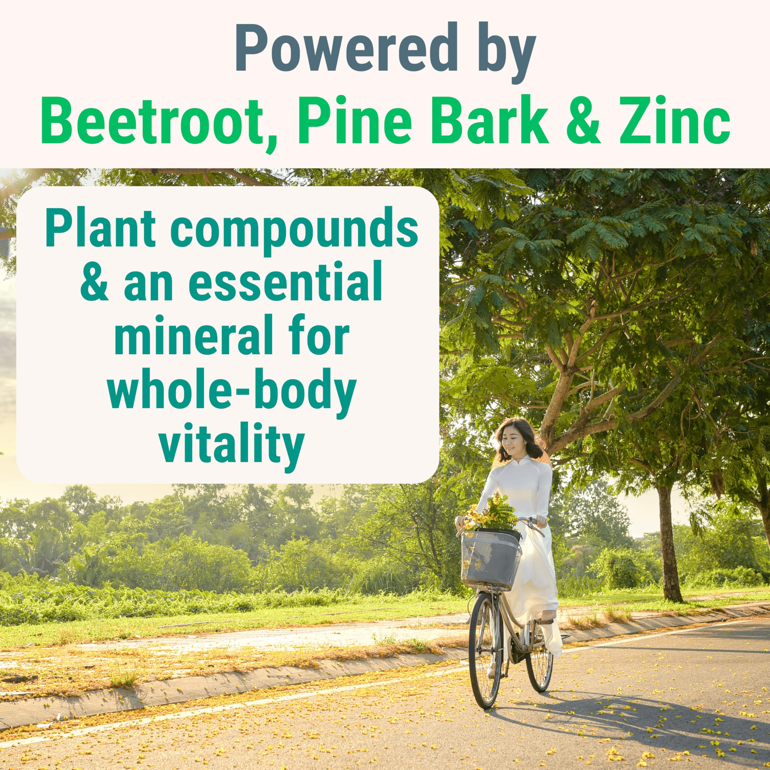 Pine Bark Extract L-Arginine L-Citrulline Beetroot Probiotic Fiber Methylated B Complex Zinc Gummies for Women Men Adults Kids w. Chicory Root Inulin 5-MTHF B6 P5P Powder Capsule Pill Supplement Alt SHIZAM Au supplements
